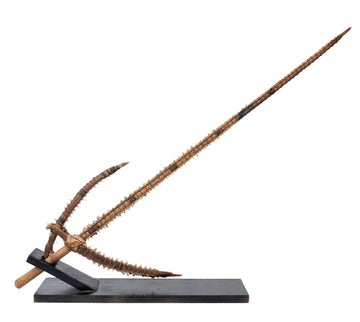 Shark Teeth Edged Sword from the Gilbert Islands Pre-Contact