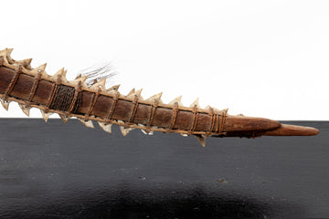 Shark Teeth Edged Sword from the Gilbert Islands Pre-Contact