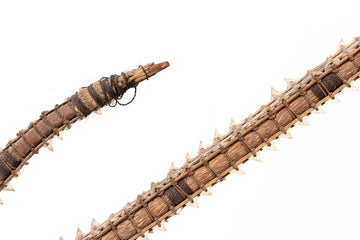Shark Teeth Edged Sword from the Gilbert Islands Pre-Contact