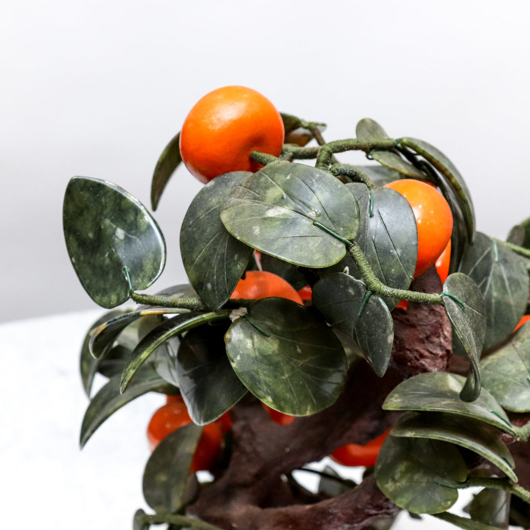 orange tree bonsai Jade Orange Tree – The Antique And Artisan Gallery Online